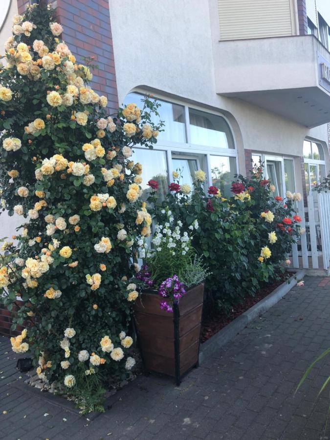 ريوا Rezydencja Lux المظهر الخارجي الصورة